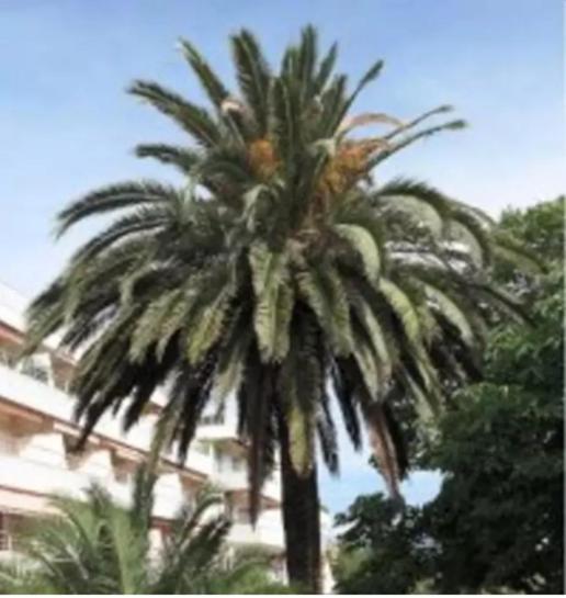 Eden Lägenhet Saint-Tropez Rum bild
